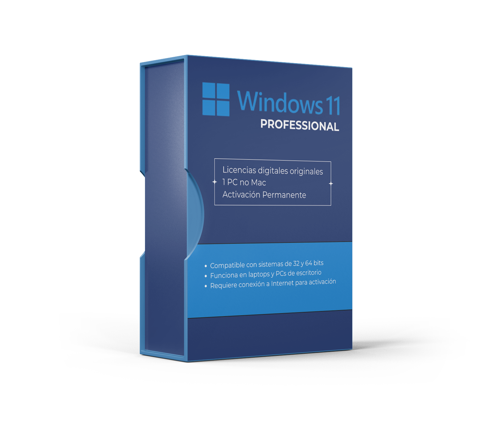 Windows 11 profesional