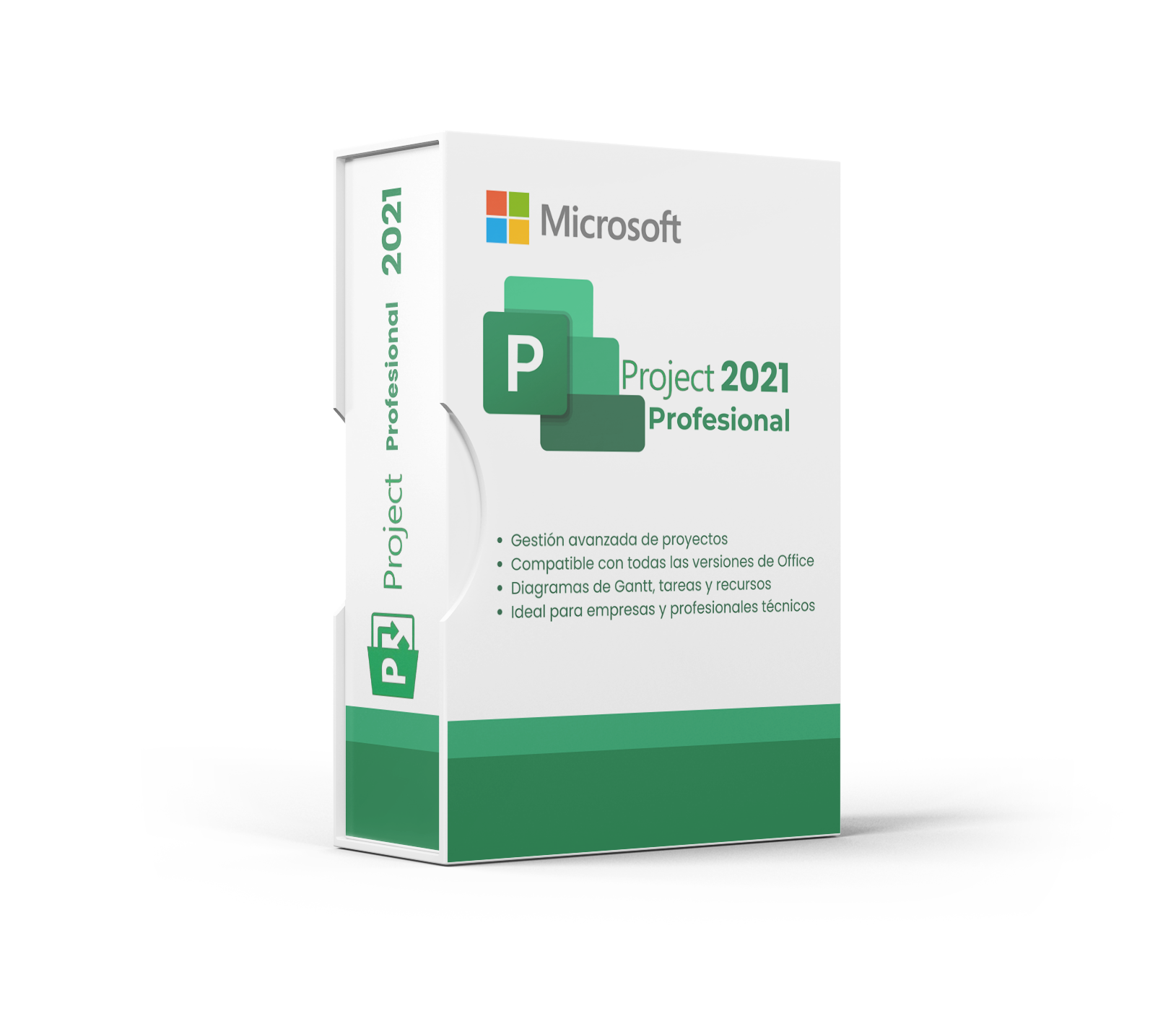 Microsoft Project 2021 Professional